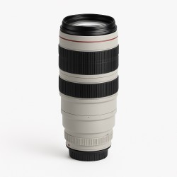 Canon 100-400mm 1:4.5-5.6 EF L IS USM