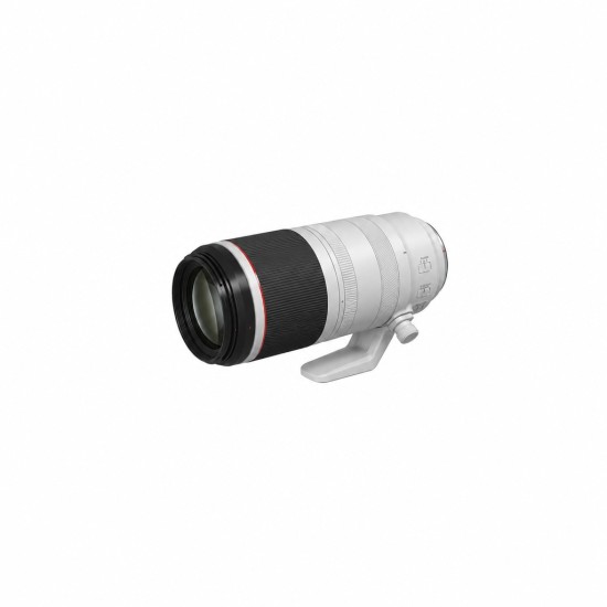 Canon RF 100-500MM F4.5-7.1 L IS USM