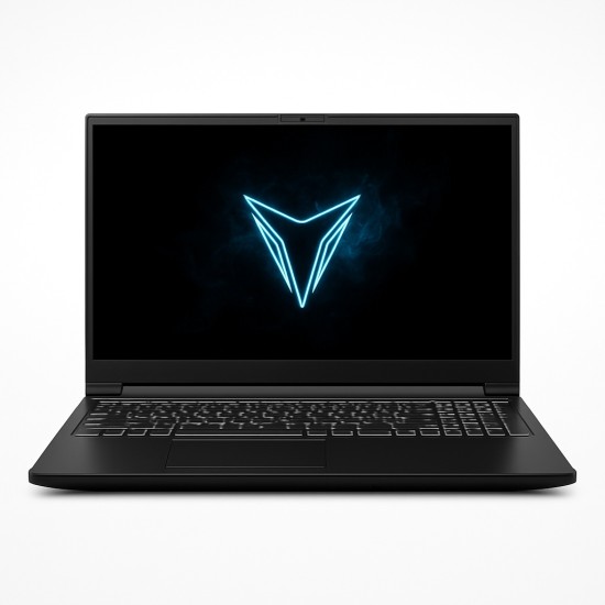 Medion Erazer Defender P15