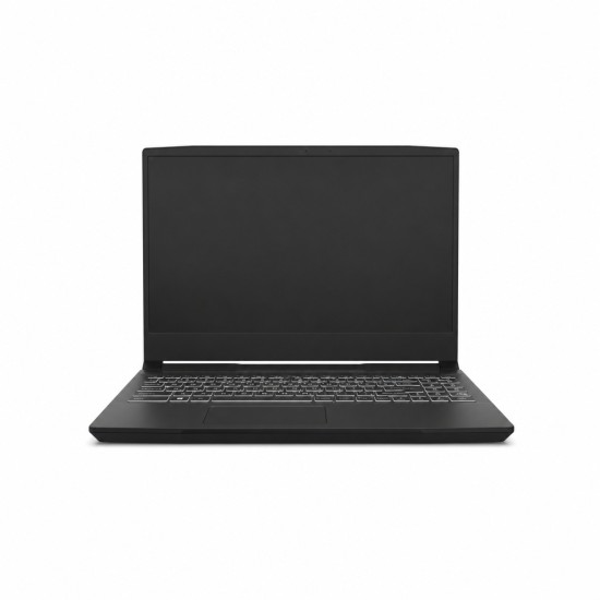 MSI Delta 15, AMD Advantage™ Edition