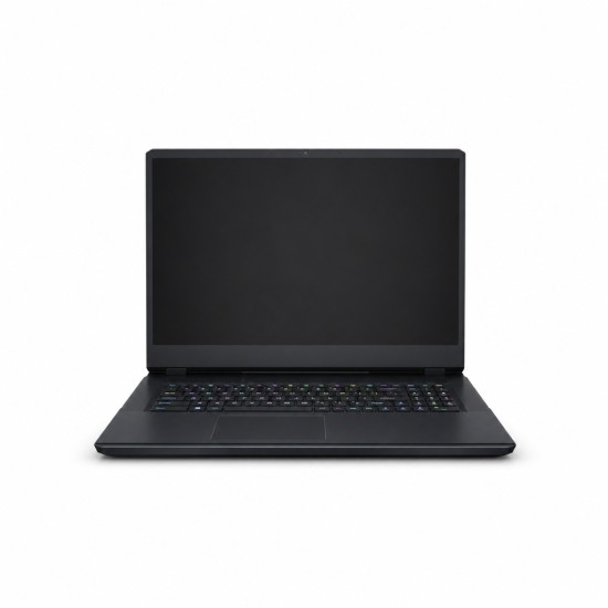 MSI Raider GE66