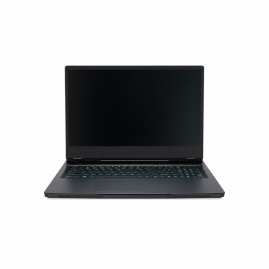 MSI Vector GP66