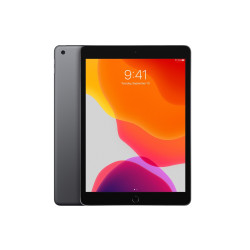 Apple iPad 10,2 Zoll (2019) 128GB 4G