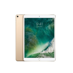 Apple iPad Pro 10,5 Zoll 256GB 4G