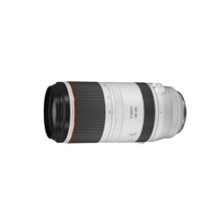 Canon RF 100-500MM F4.5-7.1 L IS USM