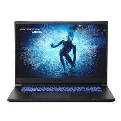 Medion Erazer Defender P40