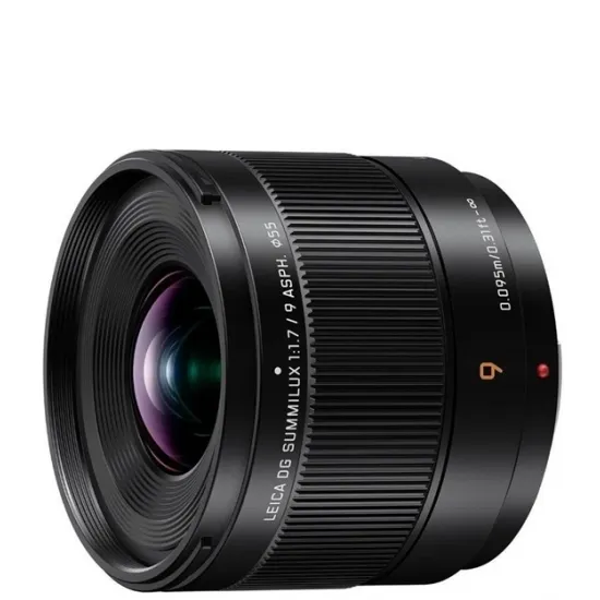 Panasonic H-X09