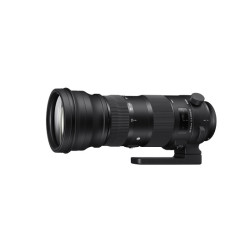 Sigma 150-600mm 1:5.0-6.3 Sports AF DG OS HSM für Canon Sigma 150-600mm 1:5.0-6.3 Sports AF DG OS HSM für Canon
