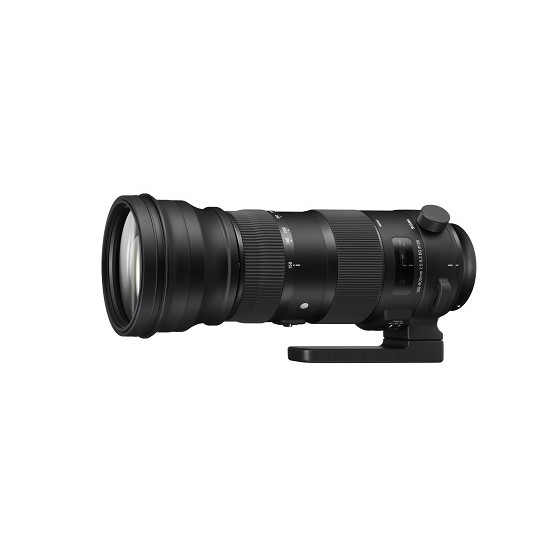 Sigma 150-600mm 1:5.0-6.3 Sports AF DG OS HSM für Canon