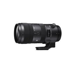 Sigma 70-200mm 1:2.8 Sports DG OS HSM für Canon EF Sigma 70-200mm 1:2.8 Sports DG OS HSM für Canon EF