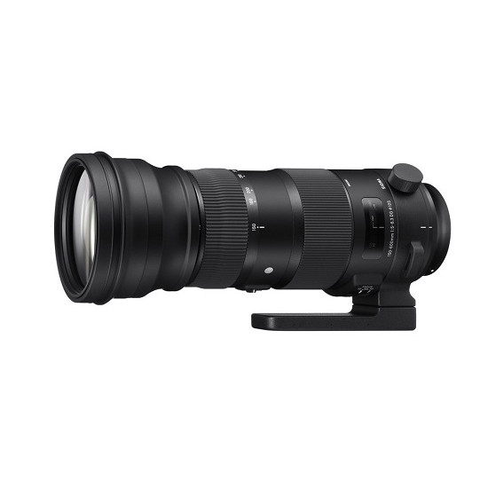 Sigma 150-600mm 1:5.0-6.3 Sports AF DG OS HSM für Nikon