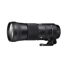 Sigma 150-600mm 1:5.0-6.3 Contemporary AF DG OS HSM für Nikon F Sigma 150-600mm 1:5.0-6.3 Contemporary AF DG OS HSM für Nikon F