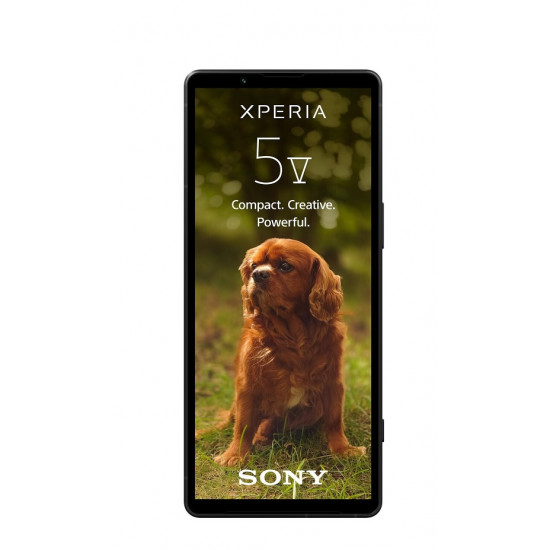 Sony Xperia 5 V 128GB