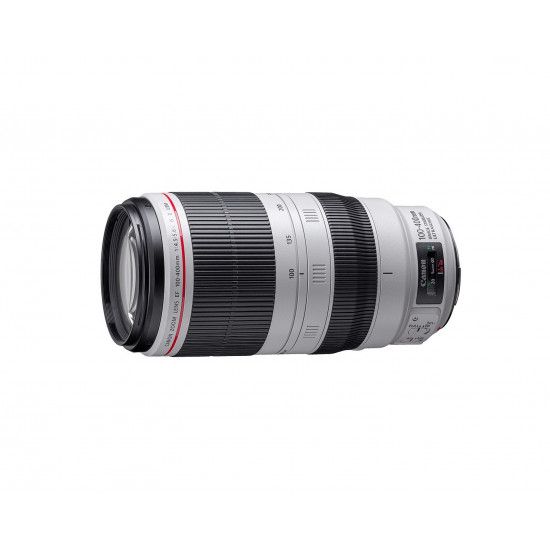 Canon 100-400mm 1:4.5-5.6 EF L IS USM