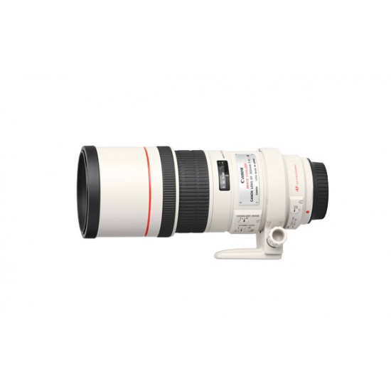 Canon 300mm 1:4.0 EF L IS USM
