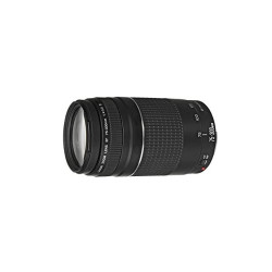 Canon 75-300mm 1:4-5.6 EF III