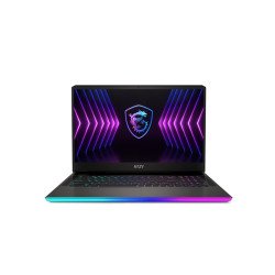 MSI Raider GE77HX
