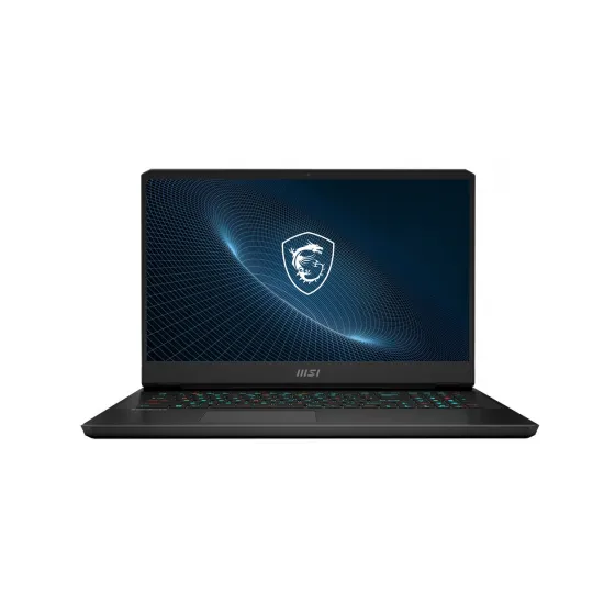 MSI Vector GP66