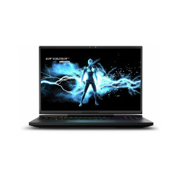 Medion Erazer Beast X40